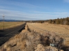 former-dairy-property-1-xi7r4649-15