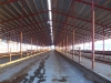 former-dairy-property-1-xi7r4649-21