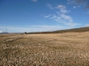 former-dairy-property-1-xi7r4649-3
