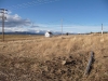 former-dairy-property-1-xi7r4649-6
