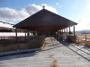 former-dairy-property-1-xi7r4649-8
