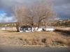 former-dairy-property-1-xi7r4649