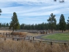Horse pen and corrals