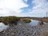 Rock wedges have enhanced the habitat along main Sprague River channel and provide access to small island