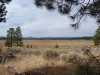 1108-p1040751
