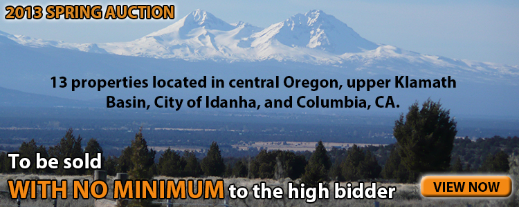 2013 Spring Auction No Minimum Bid Banner