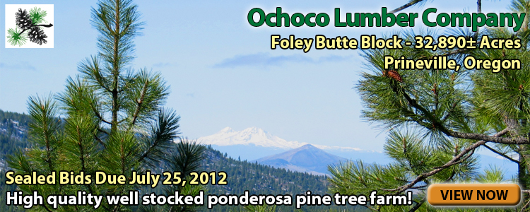 Ochoco Lumber Company - Auction 1301