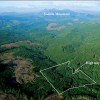 Property 2<br> Highway 53 Summit Timber Tract <br>Clatsop County, Oregon