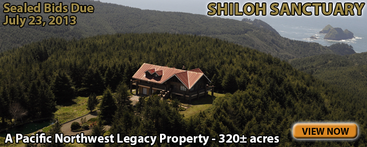 Shiloh Sanctuary Auction #1303