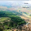  Property 3<br> Seamark Timber Tract with Ocean View, by Seaside<br> Clatsop County, Oregon 